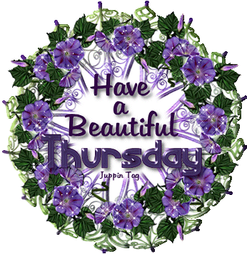 Have a blessed Thursday -- Purple Flowers