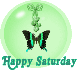 Happy Saturday -- Butterfly