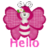 Hello -- Pink Butterfly