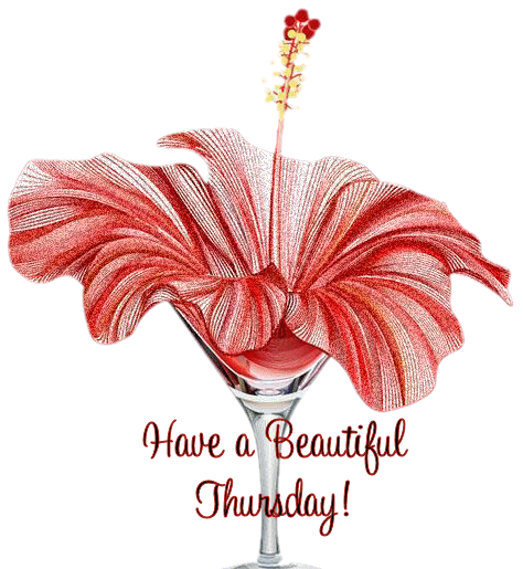 Have a Beautiful Thursday! -- Red Flower