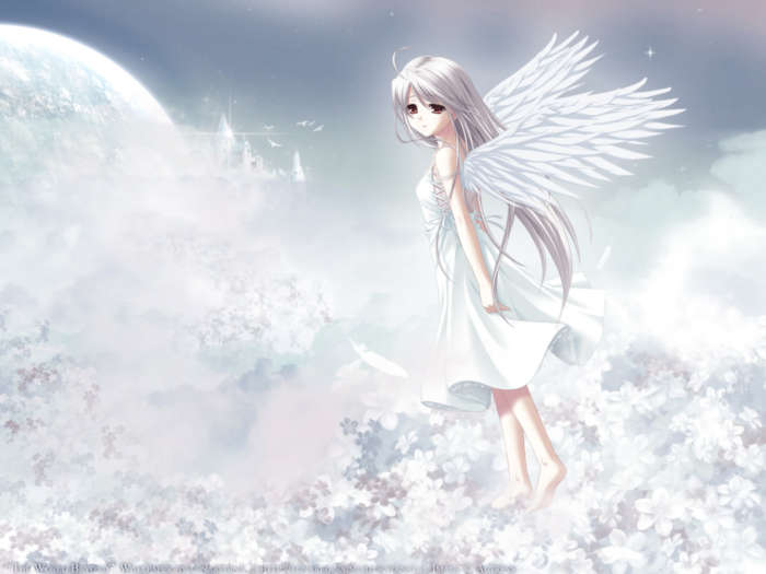 Anime Angel