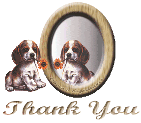 Thank You -- Puppy with Flower by the Mirror