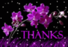 Thanks -- Purple Flowers