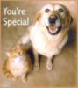 You're Special