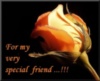 For my very special friend! -- Flower