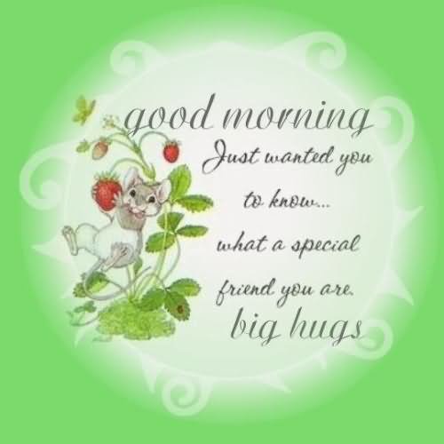 Good Morning! Just wanted you to know... what a special friend you are. Big hugs