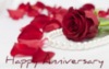 Happy Anniversary -- Red Rose