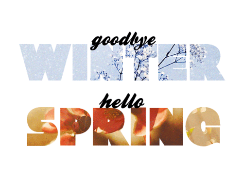 Good Bye Winter Hello Spring