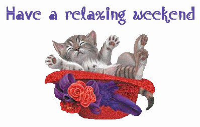 Have a relaxing Weekend -- Cute Kitten