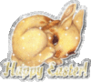 Happy Easter! -- Bunny