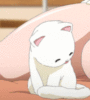 Cute Anime Kitten