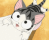 Cute Anime Kitten