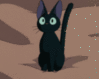 Black Anime Kitten