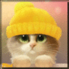 Cute Cat in Yellow Hat Avatar