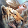 Girl and Tiger Avatar