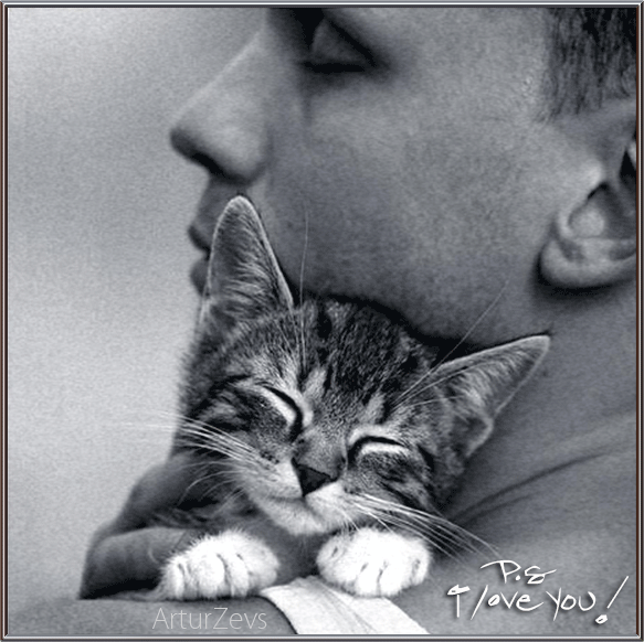 P.S. I Love you -- Man and Kitten