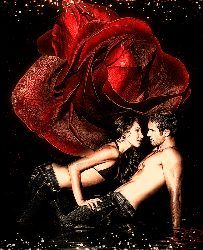 Sexy couple and Red Rose