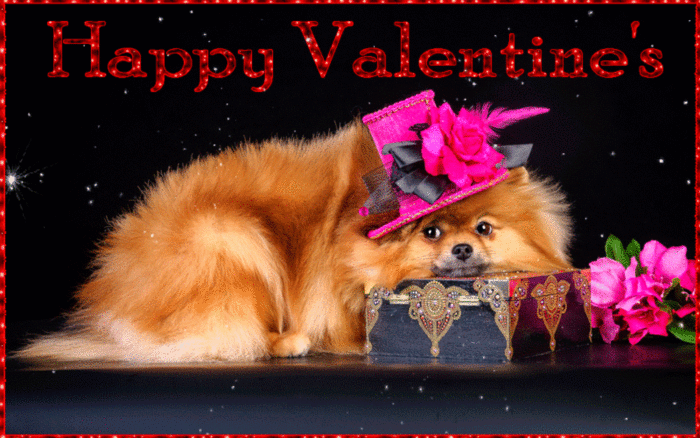 Happy Valentine's Day -- Cute Puppy with Flowers