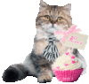 Happy Valentine's Day -- Cat and Cupcake Love