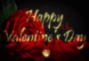 Happy Valentine's Day -- Red Roses