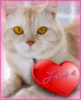 Love is... -- Cat and Heart