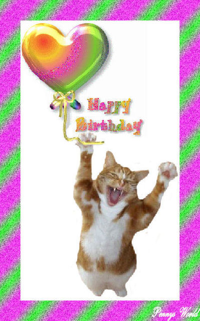 Happy Birthday funny cat