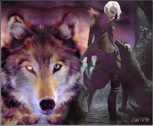 Fantasy Girl and Wolf