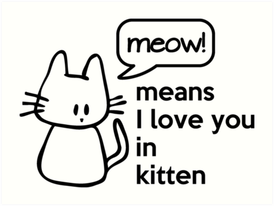 MEOW - means I love you in kitten