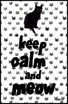 Keep calm and MEOW