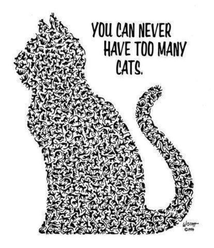 You can never have too many cats. :: Quotes :: MyNiceProfile.com