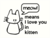 MEOW - means I love you in kitten