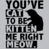 You've cat to be kitten me right Meow.