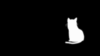 Black and White Animated Cat