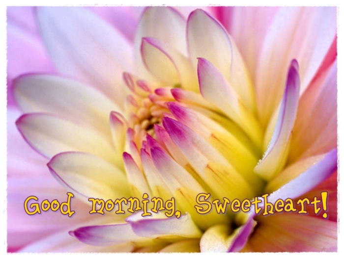 Good Morning, Sweetheart! -- Flowers