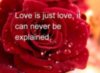 Love is just love, it can never be explained.