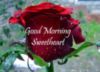 Good Morning Sweetheart -- Red Flower