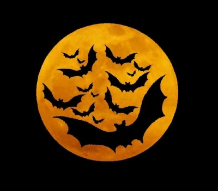 Happy Halloween -- Moon and Bats