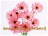 Good Morning Sweetheart! -- Pink Flowers