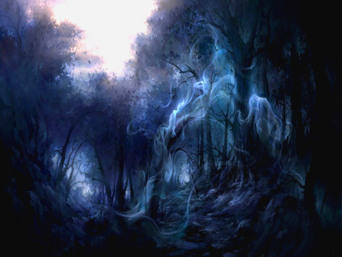 Dark Fantasy Forest