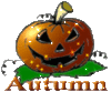 Autumn -- Pumpkin