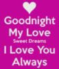 Good Night my Love 