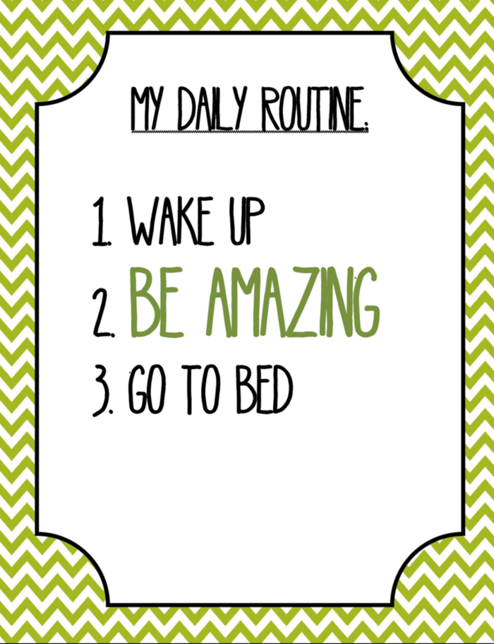 My Daily Routine.