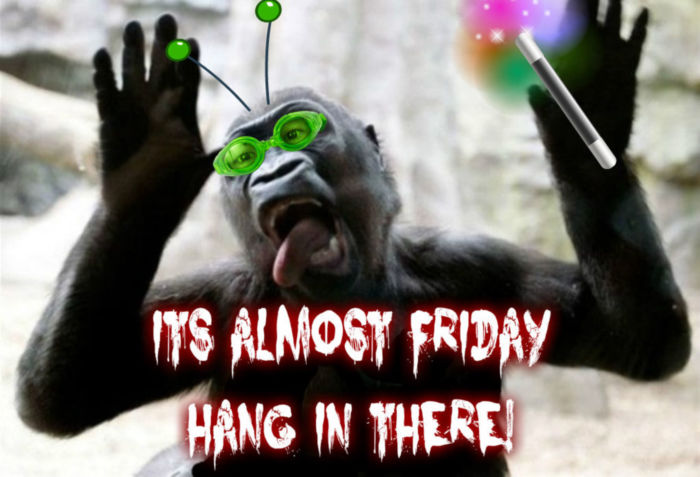It's almost Friday! Hang in there!