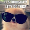 It's Thursday! Let's Do This! -- Funny Puppy