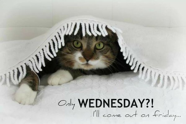 Only Wednesday? I'll come out of Friday...