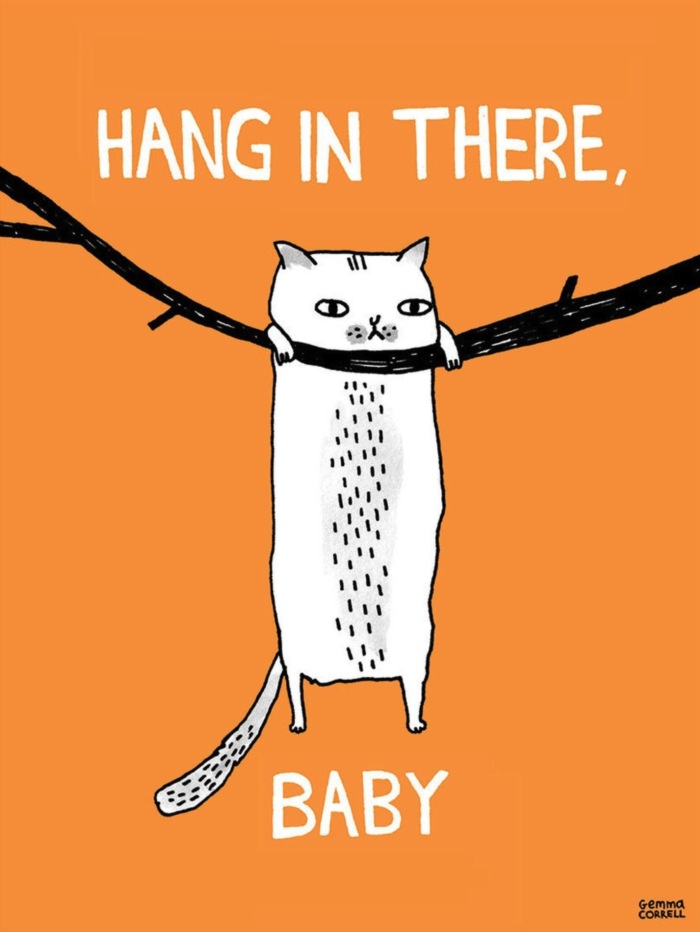 Hang in there, Baby