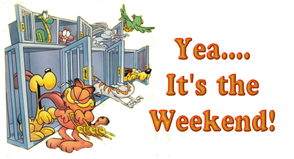 It's the Weekend! -- Garfield