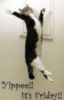 Yippee! It's Friday! -- Funny Cat