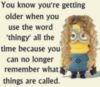 You know you're getting older when you use the word 'thingy' all the time because you can no longer remember what things are called. -- Funny Minion Quote