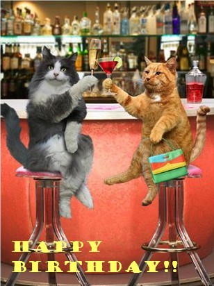 Happy Birthday drinking cats